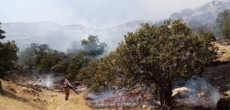 آتش سوزی منطقه حفاظت شده دنا بعد از 3 شبانه روز مهار گشت