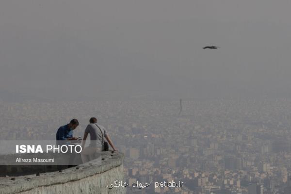 چگونگی كاهش آلودگی هوا در پاییز كرونایی و كم باد و بارش