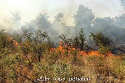 پنجه آتش بر پیكر توسكستان