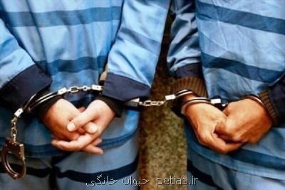 دستگیری 3 نفر از عاملان آتش سوزی جنگل های دز