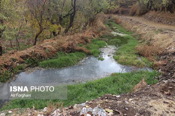 رونمایی از فصل جدید سریال سرطان كاری در ساوه!