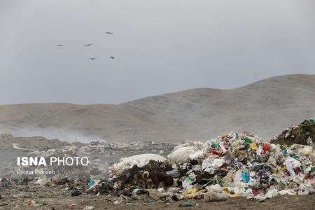 پیشنهاد نماینده بندرعباس برای تخصیص بودجه بمنظور مقابله با آلودگی های زیست محیطی