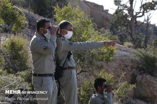 شهادت 143 محیط بان در امتداد حفاظت از محیط زیست كشور