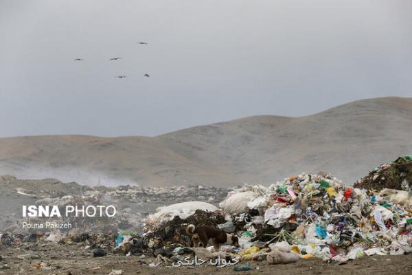 پیشنهاد نماینده بندرعباس برای تخصیص بودجه بمنظور مقابله با آلودگی های زیست محیطی