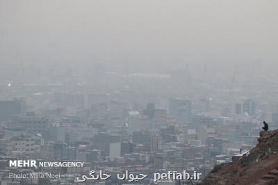 دست و پنجه نرم كردن هوای اراك با معضل آلودگی
