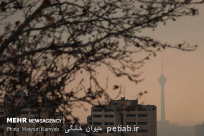 كیفیت هوا در سراسر پایتخت آلوده است