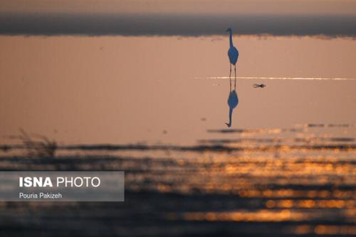 تالاب های قرمز و سیاه ایران!